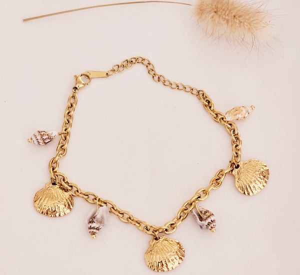Shell bracelet